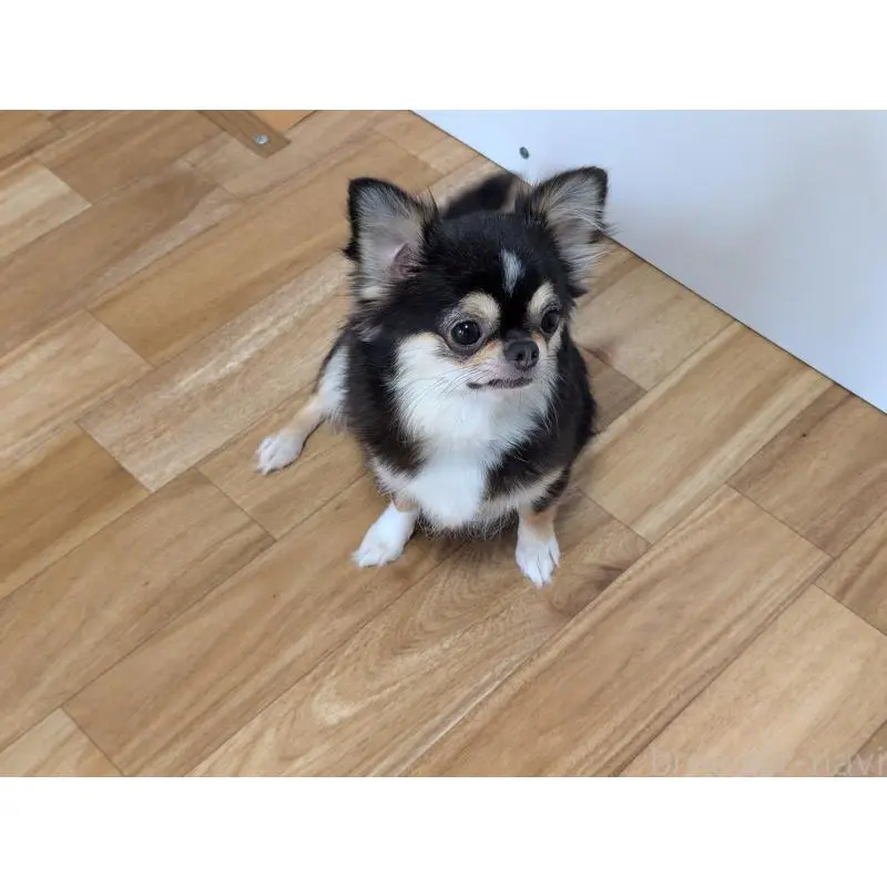 メルモちゃん3枚目