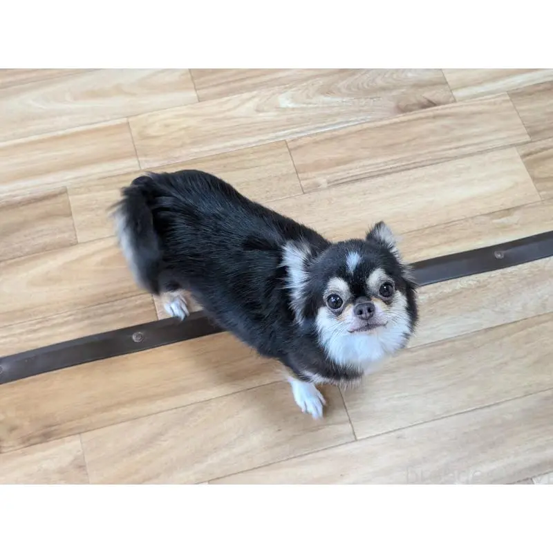 メルモちゃん6枚目