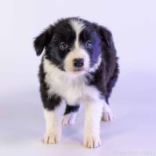 オンライン見学