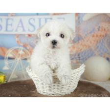 オンライン見学