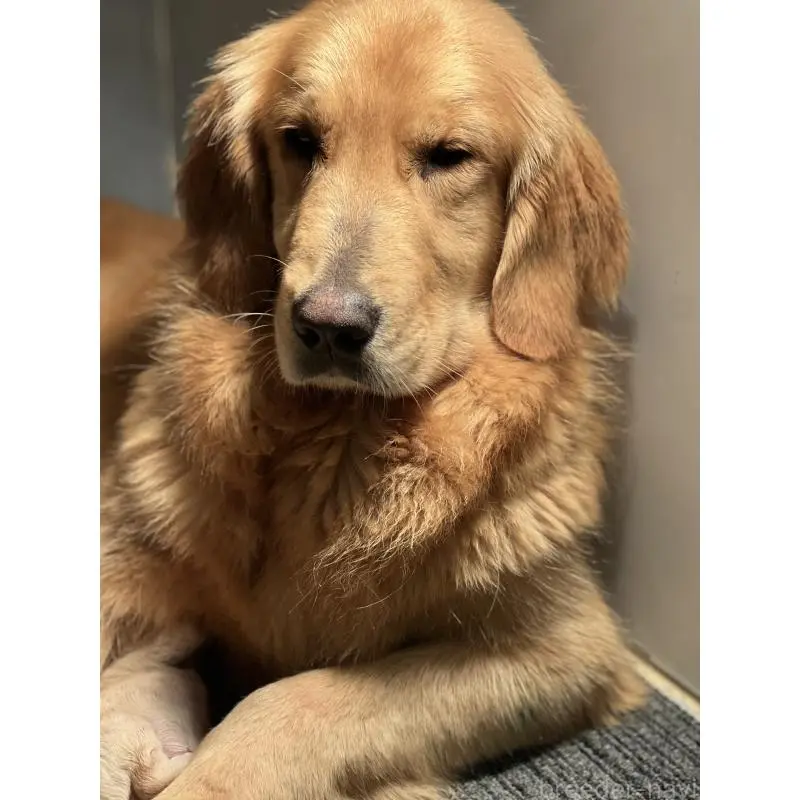 レオナちゃん3枚目