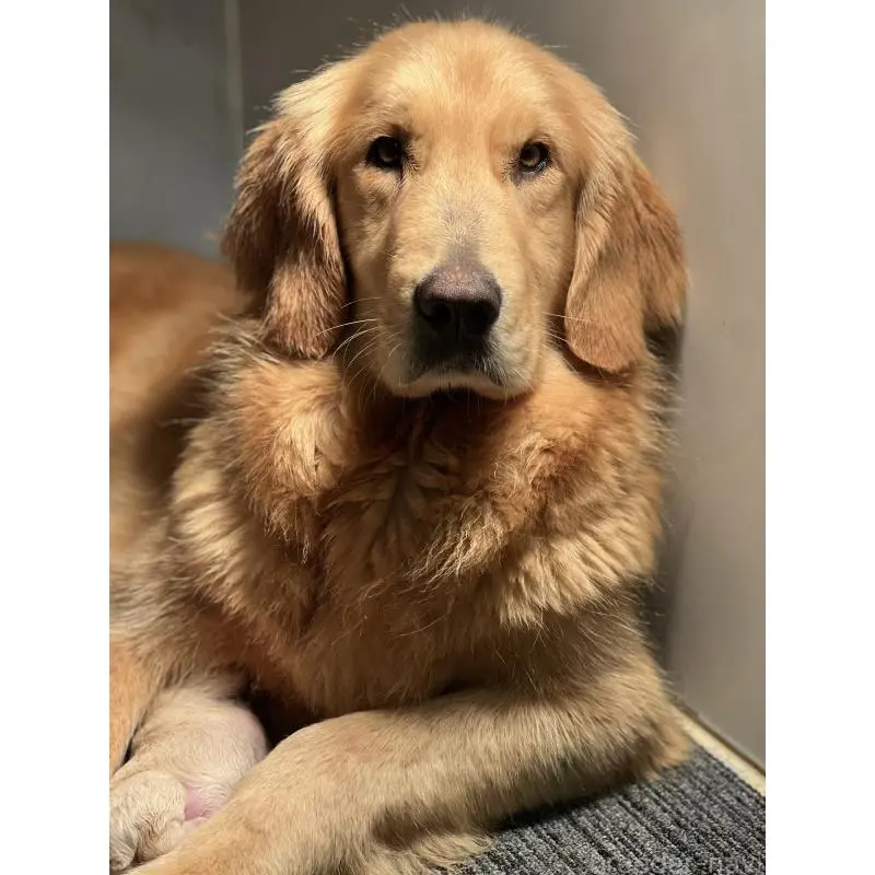 レオナちゃん1枚目