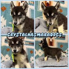 オンライン見学