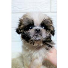 オンライン見学