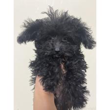 オンライン見学