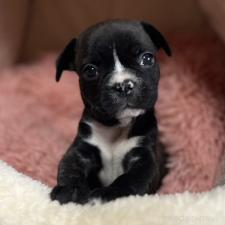 オンライン見学