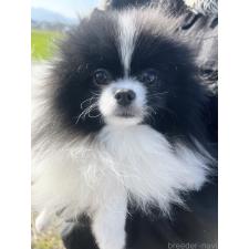 オンライン見学