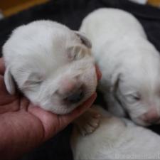 オンライン見学