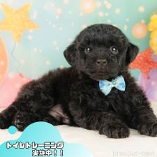 オンライン見学