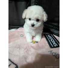 オンライン見学