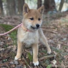 オンライン見学