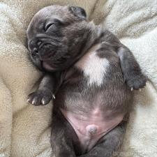 オンライン見学