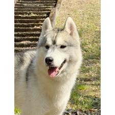 オンライン見学