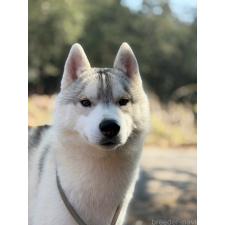 オンライン見学