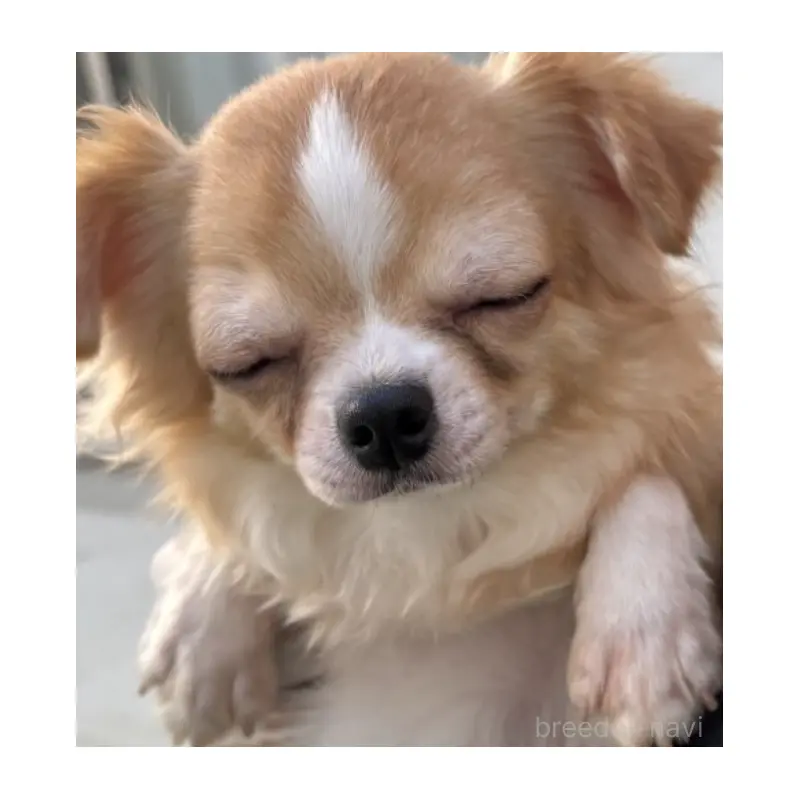 ヒヨリちゃん1枚目