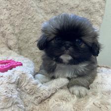 オンライン見学