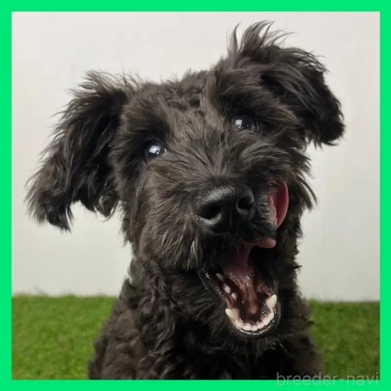 たいようくん2枚目