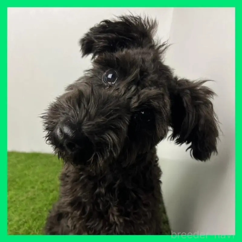 たいようくん3枚目