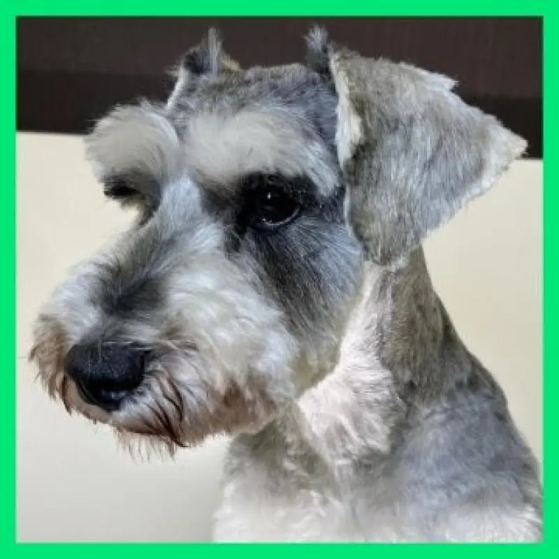 シロップくん2枚目