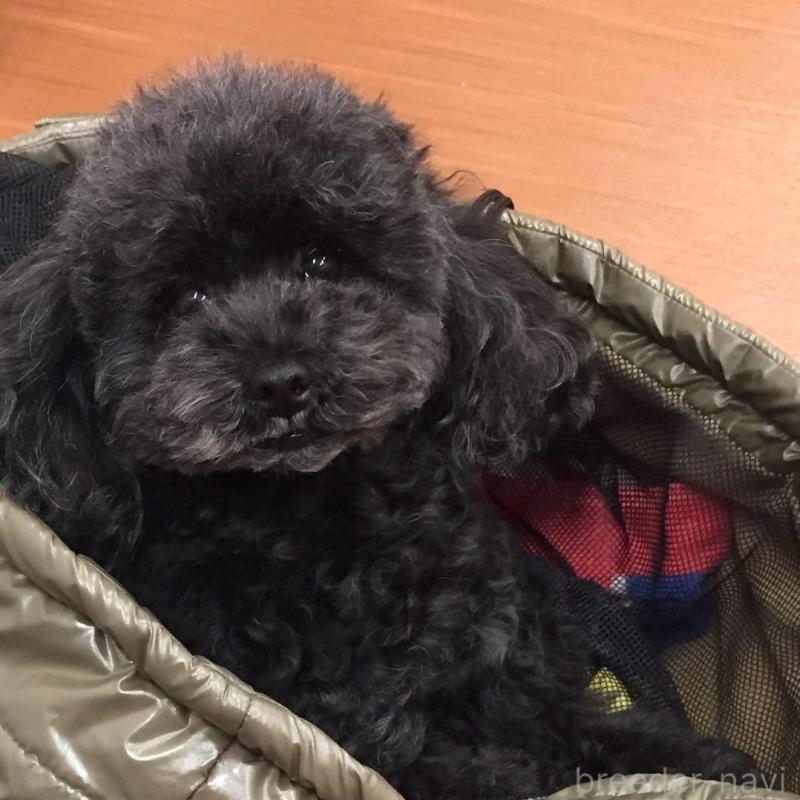 こすずちゃん1枚目