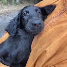 オンライン見学