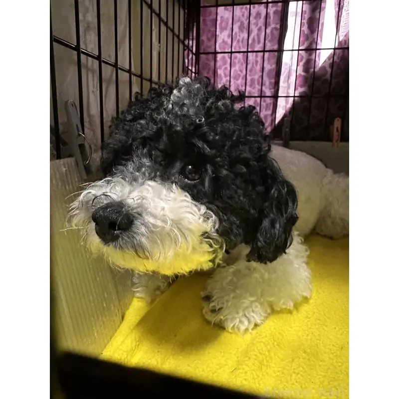 コーキちゃん3枚目