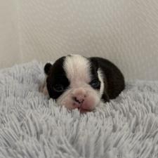 オンライン見学