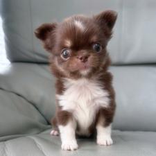 オンライン見学