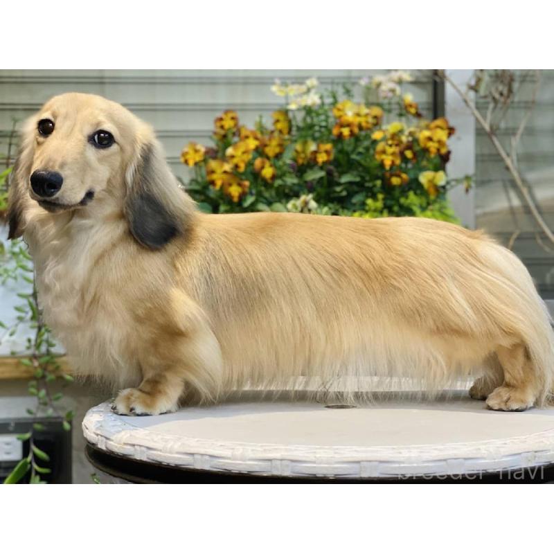 SHOE（ショウ）くん1枚目