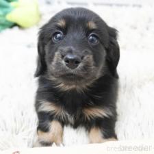 オンライン見学