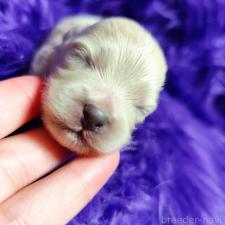 オンライン見学