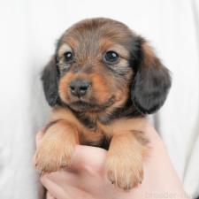 オンライン見学