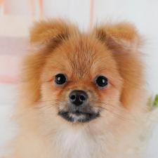 オンライン見学