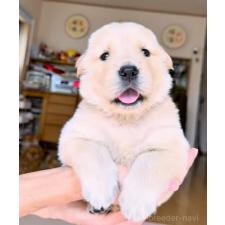 オンライン見学