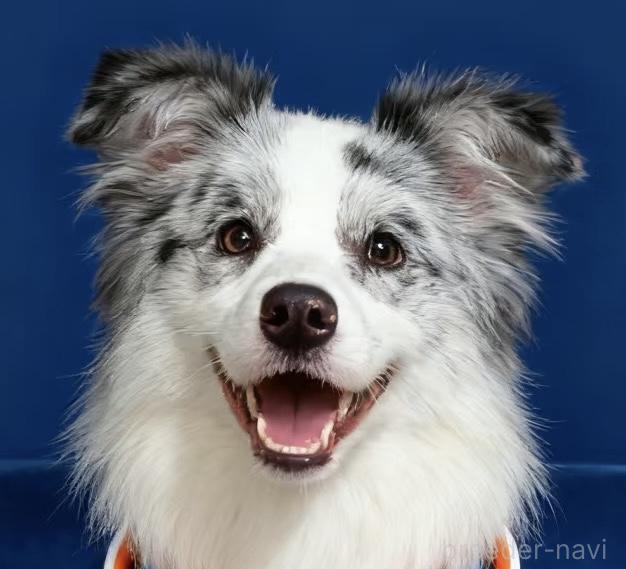 ZTCグローバル株式会社