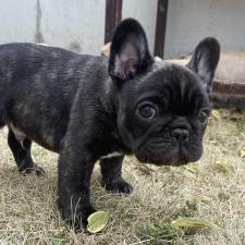 オンライン見学