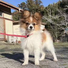 オンライン見学