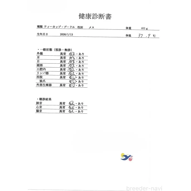 販売中の群馬県のトイプードル-454782の4枚目