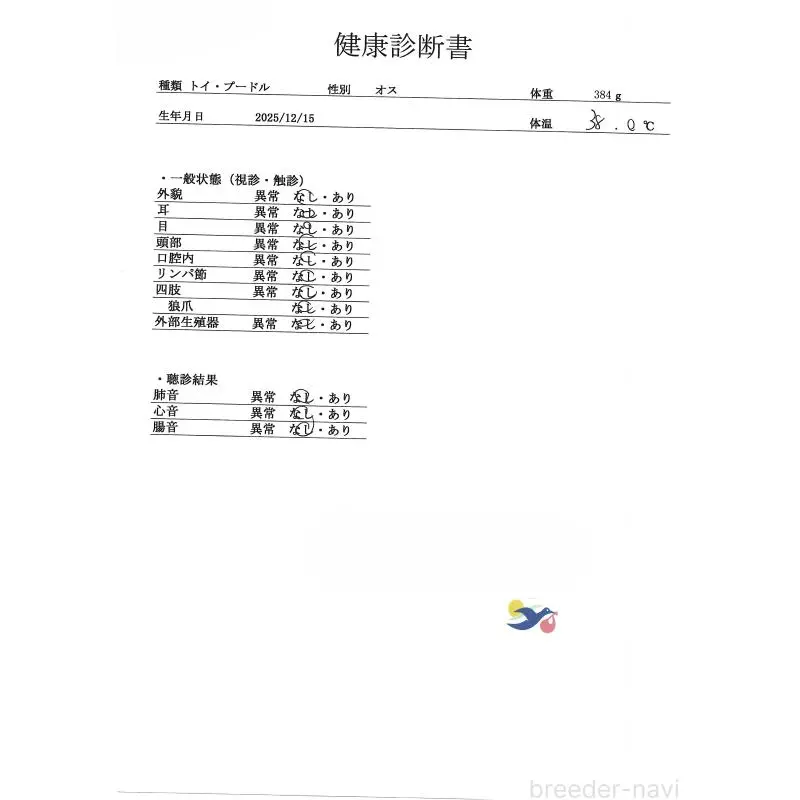 販売中の群馬県のトイプードル-454791の4枚目