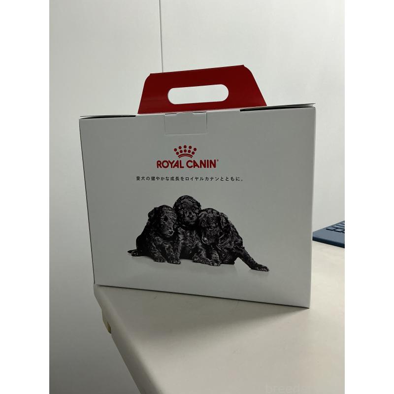 販売中の静岡県のゴールデンレトリーバー-454781の3枚目