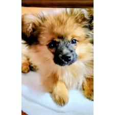 オンライン見学