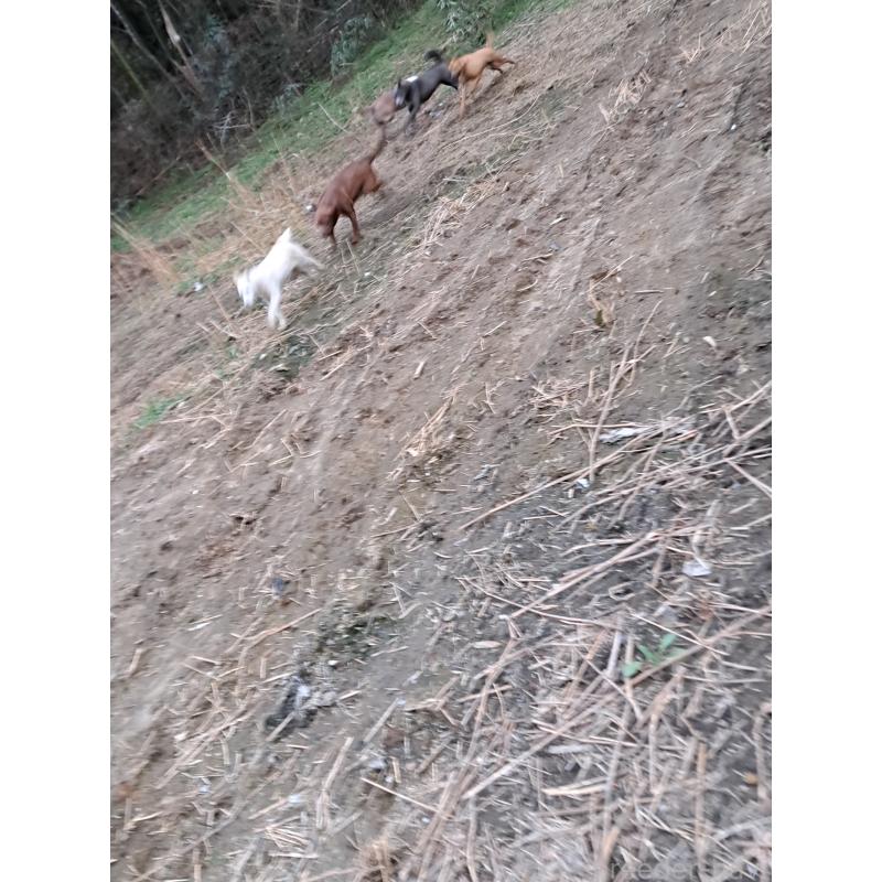 ディズちゃん1枚目