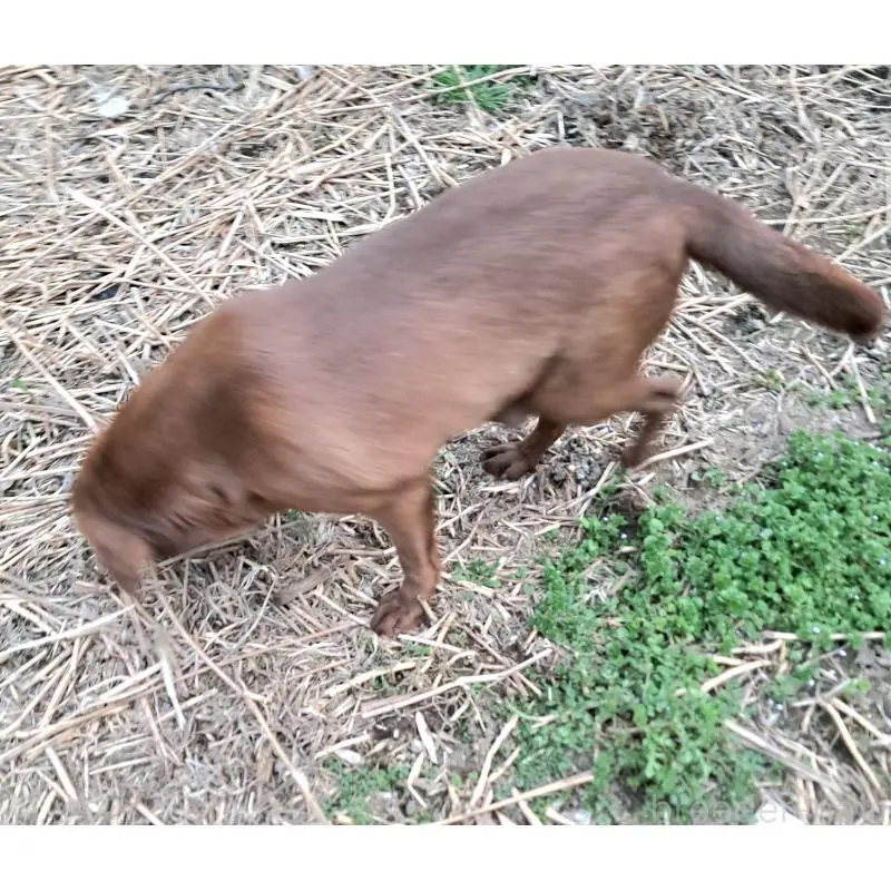 ディズちゃん3枚目