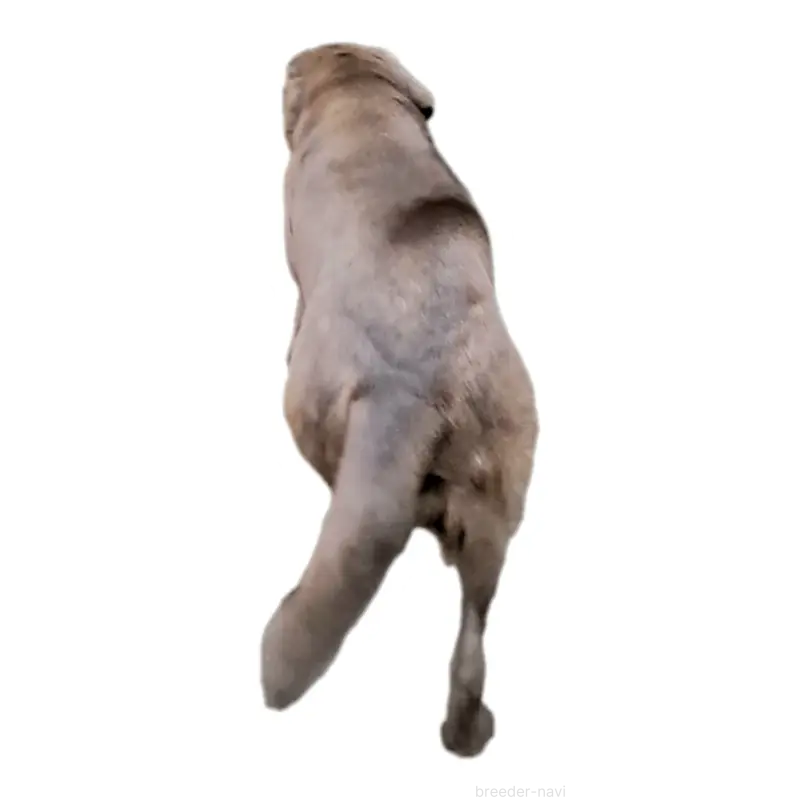 ディズちゃん4枚目