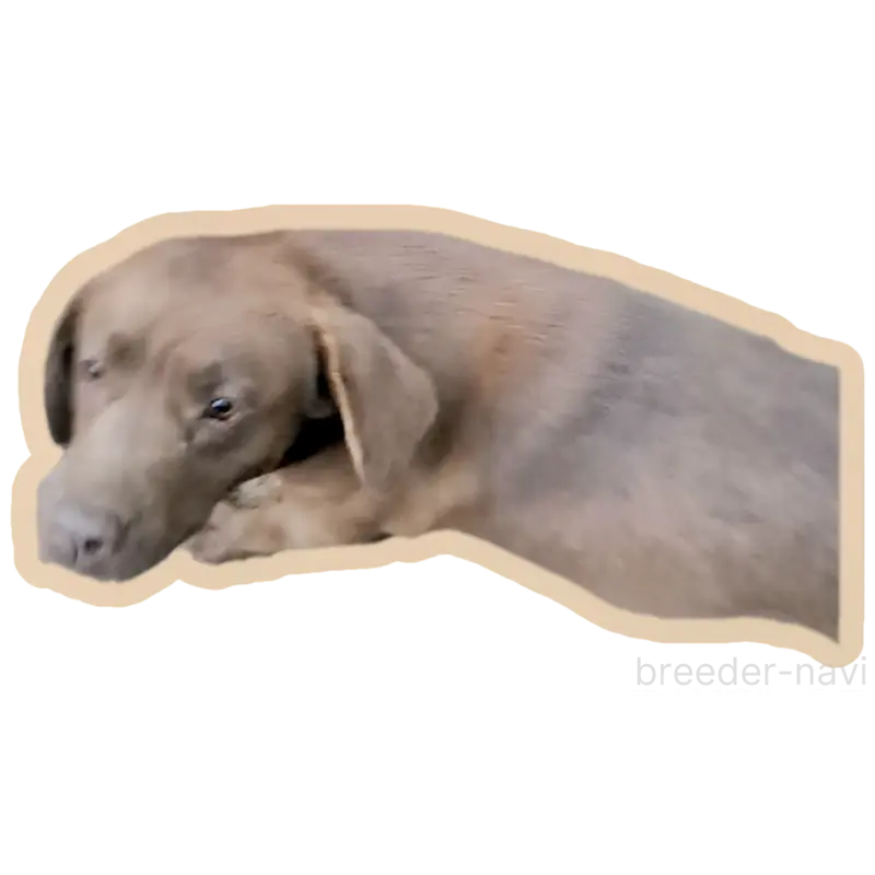 ディズちゃん5枚目