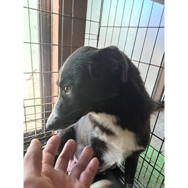 イサちゃん1枚目