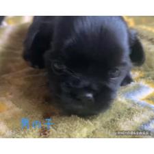 オンライン見学