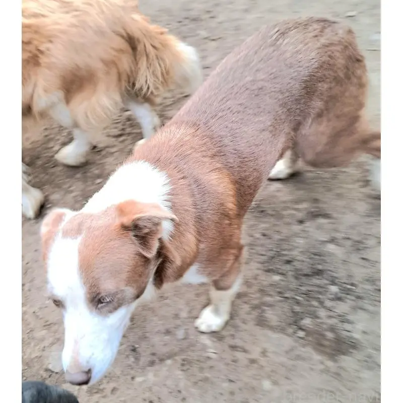 ニーチョちゃん2枚目