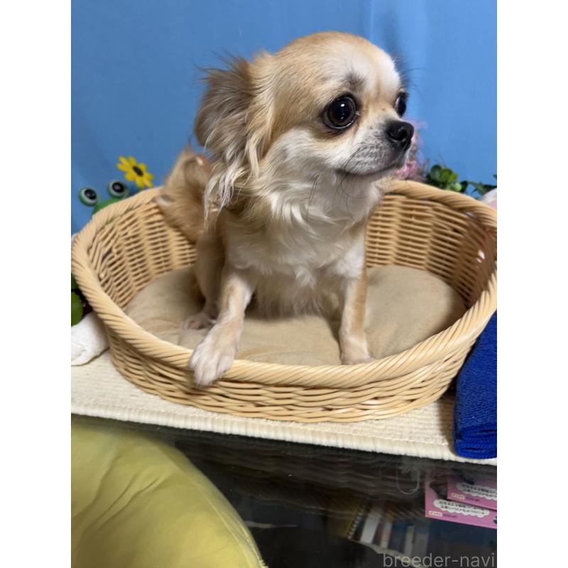 ユズちゃん2枚目