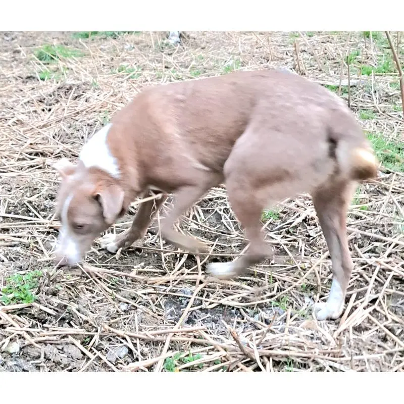 イーサンくん2枚目